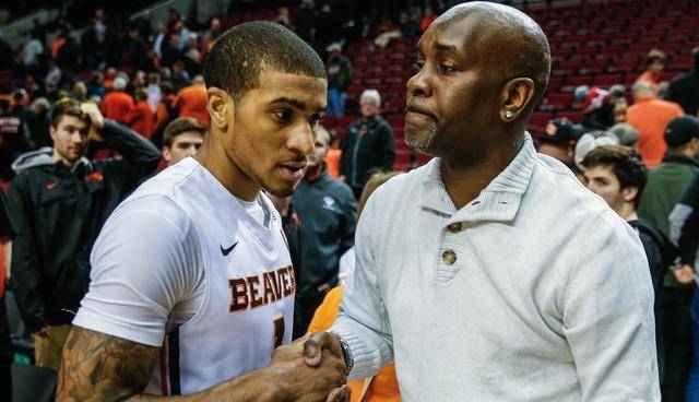 他们的青春 他们的青春