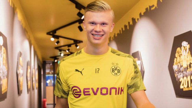 形态的机会 形态的机会